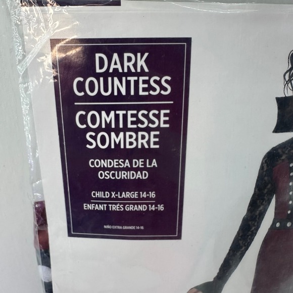 Dark Countess Costume Sombre Girls Extra Large 14-16 Halloween Dress - Picture 2 of 3